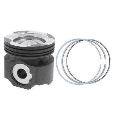 Piston/Ring Kit