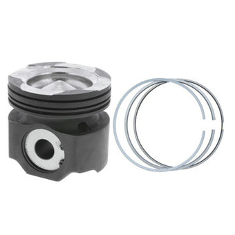 compare product Piston/Ring Kit